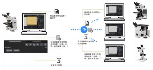 智能模塊驅(qū)動(dòng)高效可靠 奧林巴斯顯微鏡圖像處理軟件Preciv AI升級引領(lǐng)精準(zhǔn)新高度